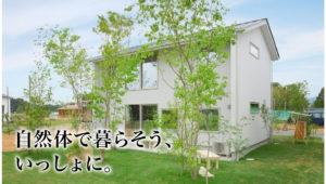自然体で暮らそう、いっしょに。