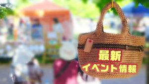 最新イベント情報